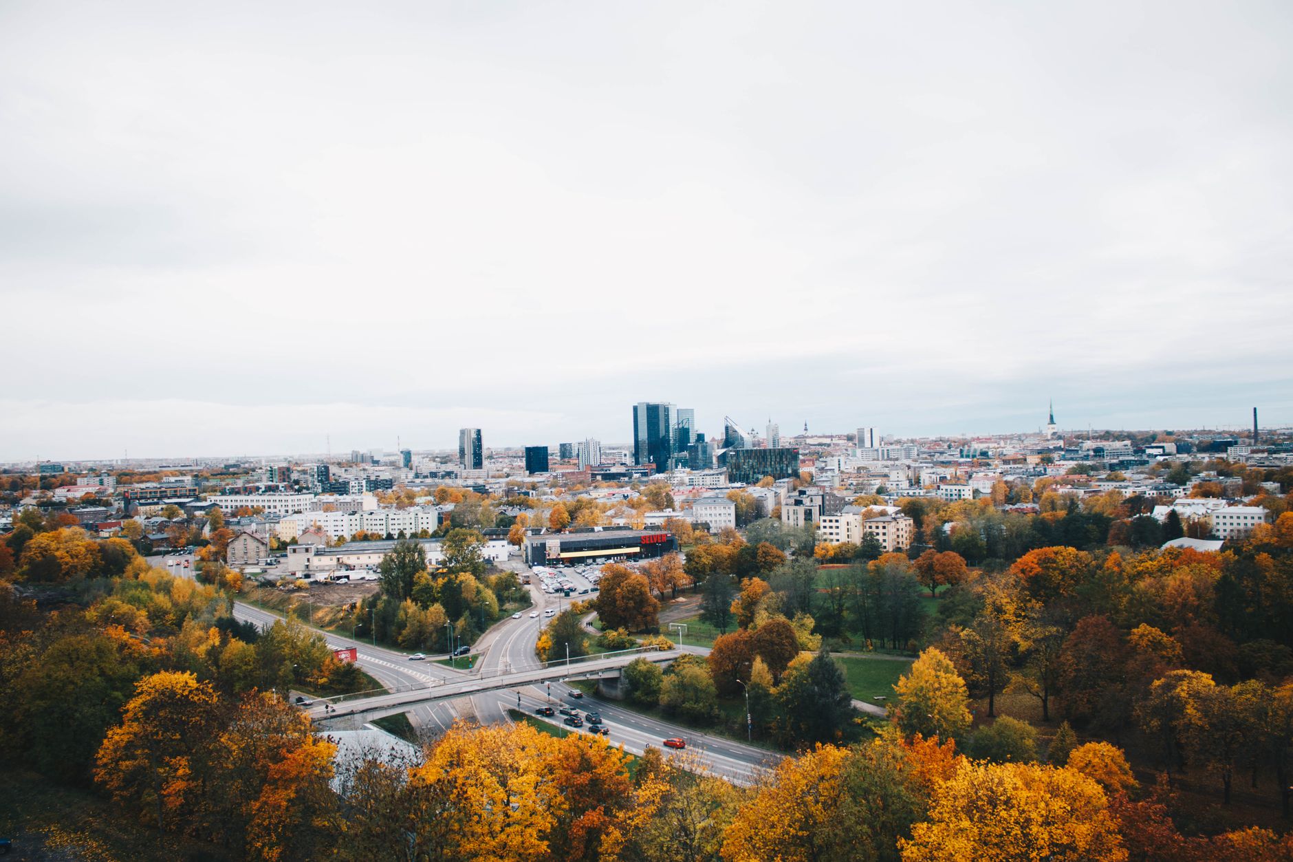 Kuidas registreerida .ee domeen 10 minutiga: juhend 2026